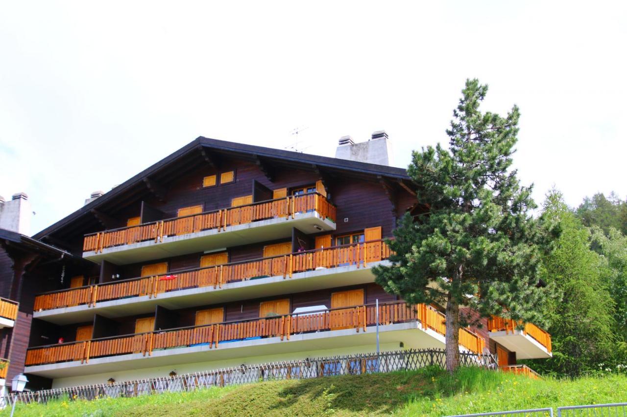 Mayens De L'Ours Mountain & Center Apartments By Alpvision Residences Agettes Zewnętrze zdjęcie