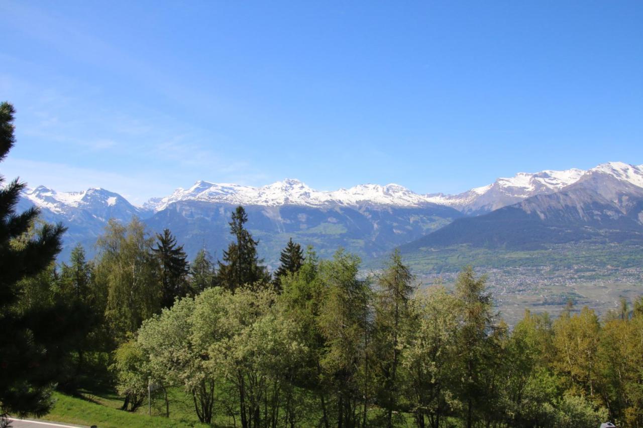 Mayens De L'Ours Mountain & Center Apartments By Alpvision Residences Agettes Zewnętrze zdjęcie