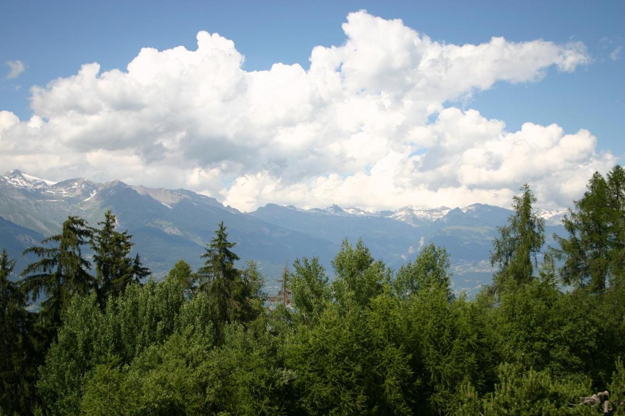 Mayens De L'Ours Mountain & Center Apartments By Alpvision Residences Agettes Zewnętrze zdjęcie